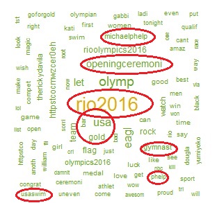 word cloud for #teamUSA tweets